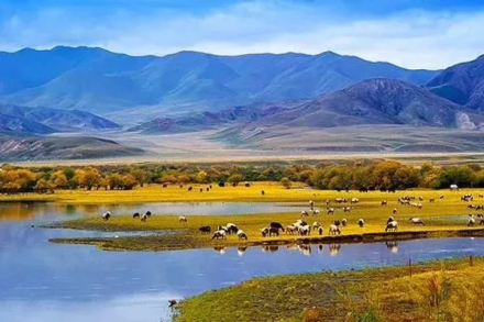 甘南州风吹草低见牛羊 甘南州风吹草低见牛羊