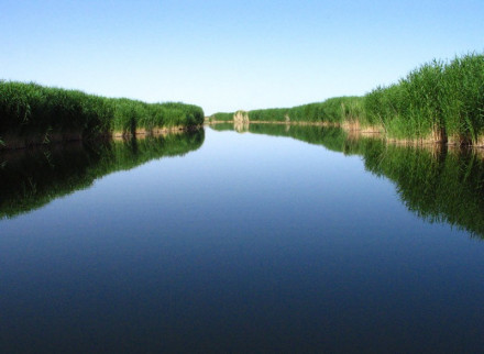 博斯腾湖(芦苇) 博斯腾湖(芦苇)