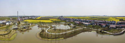 罗文国际涂鸦艺术村