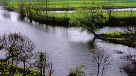 冶河湿地 冶河湿地
