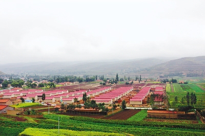 西海固移民 西海固移民