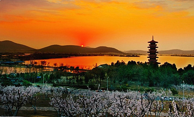 徐州云龙山下杏花村