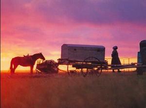 科尔沁草原 科尔沁草原