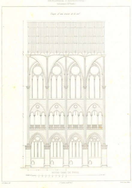巴黎圣母院结构图 巴黎圣母院结构图