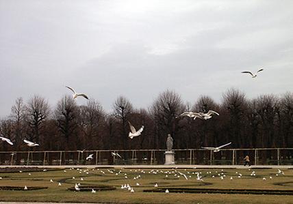 滑铁卢古战场 滑铁卢古战场
