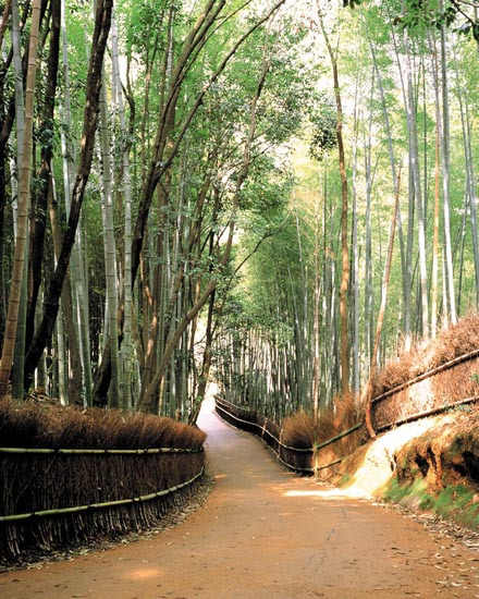 德清县风景图 德清县风景图