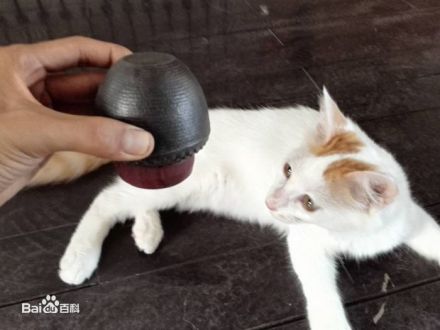 倒置茶入盖子不脱落 倒置茶入盖子不脱落