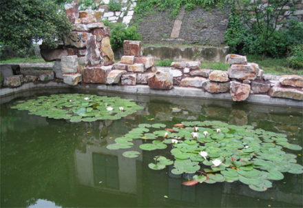 北固山风景 北固山风景