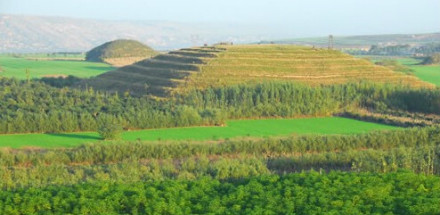 王皇后陵 王皇后陵