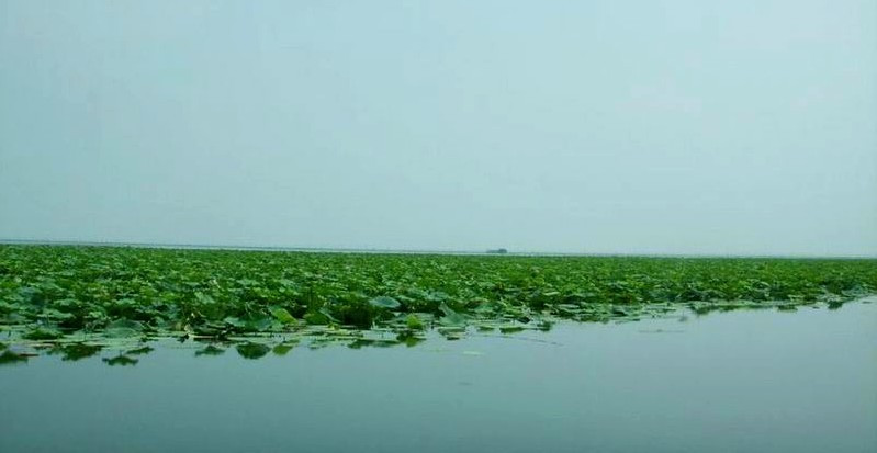 益阳市境内的大通湖