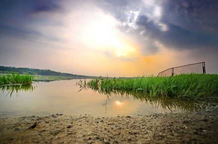 商丘黄河故道国家湿地公园