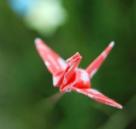 千纸鹤(图9) 千纸鹤(图9)