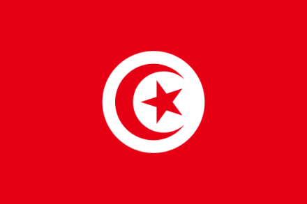 突尼斯国旗 突尼斯国旗