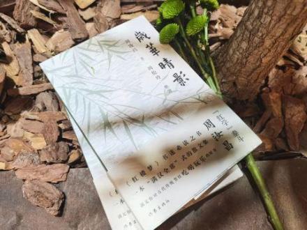 随笔集《岁华晴影》
随笔集《岁华晴影》