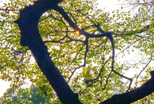 苏州沧浪亭高清组图 苏州沧浪亭高清组图