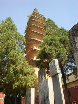 风穴寺—七祖塔 风穴寺—七祖塔