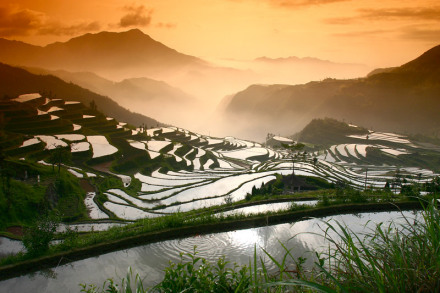 青田梯田 青田梯田