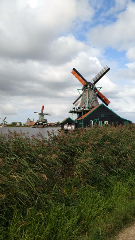 阿姆斯特丹近郊的风车村 阿姆斯特丹近郊的风车村
