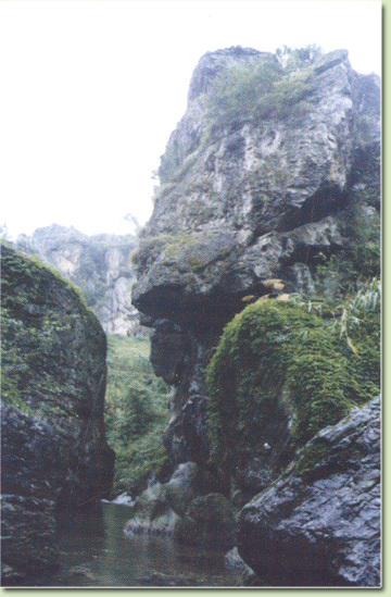 安化石怪 安化石怪