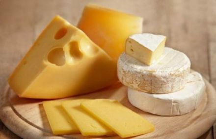 奶酪 奶酪