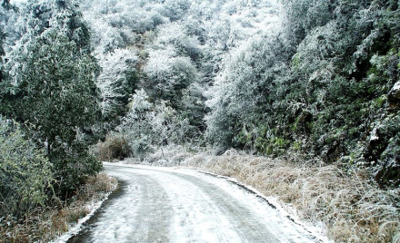 赣州峰山雪景 赣州峰山雪景