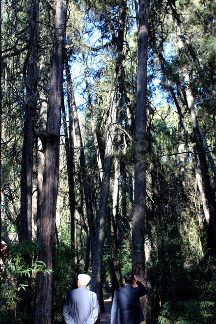 青龙潭景点 青龙潭景点