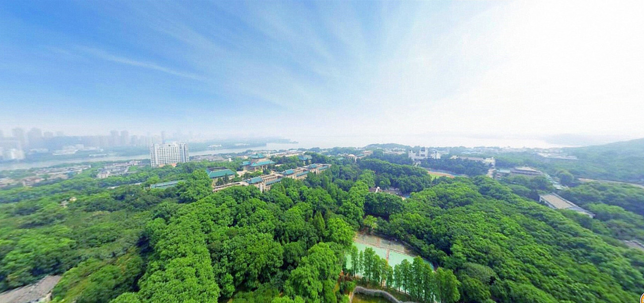 珞珈山水 · 武大风貌