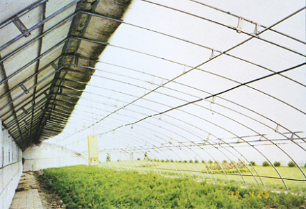 塑料大棚 塑料大棚