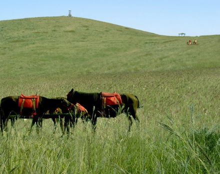 云梦山草场 云梦山草场