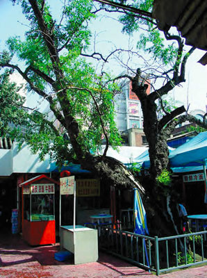 右翼宗学遗址
右翼宗学遗址