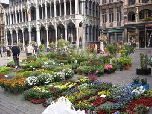 布鲁塞尔 布鲁塞尔