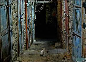 黎巴嫩提尔市市集 黎巴嫩提尔市市集