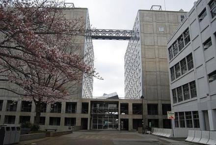 早稻田大学 早稻田大学