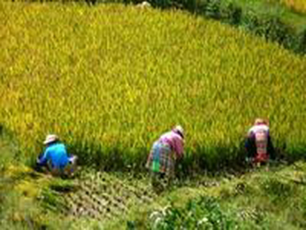 产出劳动 产出劳动