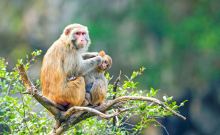 小三峡景区 小三峡景区