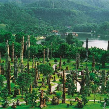 深圳仙湖植物园 深圳仙湖植物园