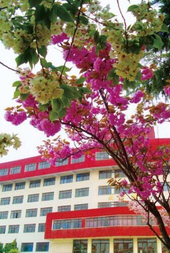 校园环境 校园环境