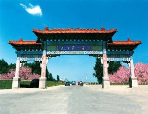 天下第一蒜 天下第一蒜