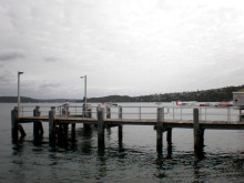 悉尼爬虫动物公园 悉尼爬虫动物公园