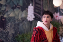 《念念桃花源》