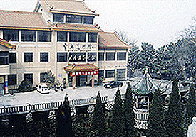 尹瘦石艺术馆 尹瘦石艺术馆