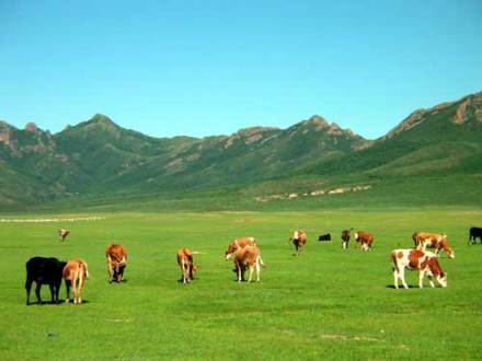 科尔沁草原 科尔沁草原