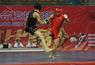 竞技体育 竞技体育