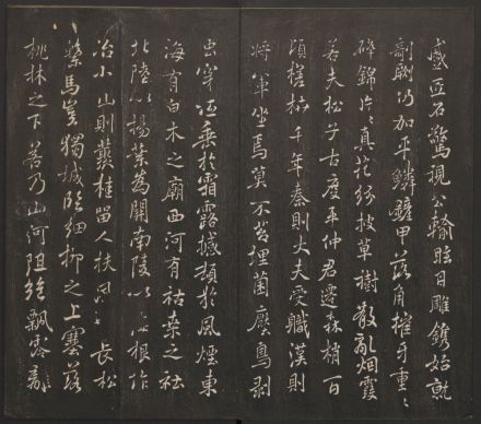 褚遂良描摹庾信《枯树赋》(行书) 褚遂良描摹庾信《枯树赋》(行书)