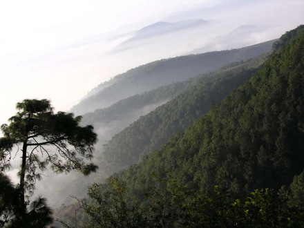 武定县狮子山图片 武定县狮子山图片