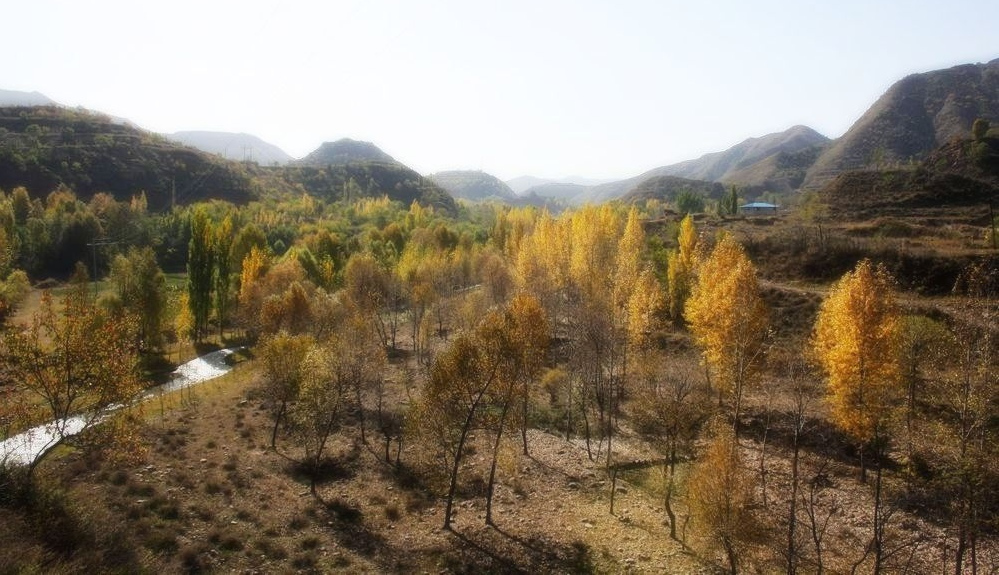 昌源河上游团柏谷一带地形