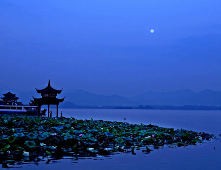 浣溪沙·甲戌年夏梦曲院荷花 浣溪沙·甲戌年夏梦曲院荷花