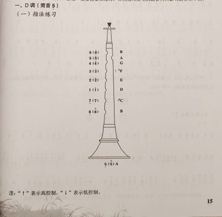 D 调指法
D 调指法