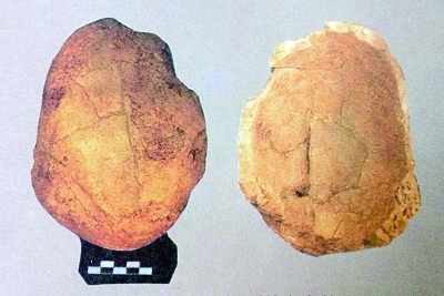 2号头骨的顶视和内视 2号头骨的顶视和内视