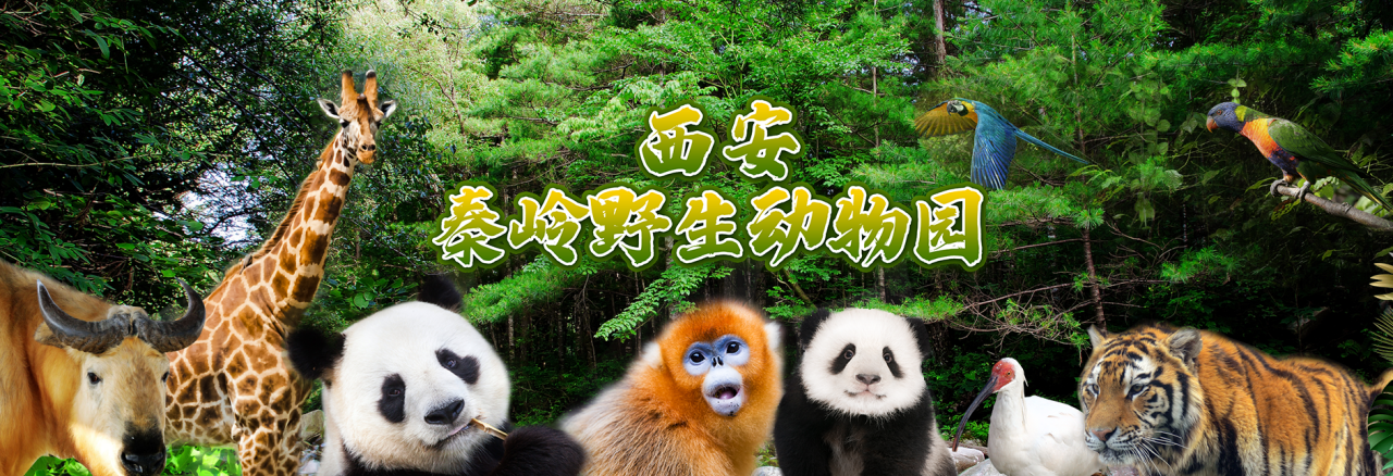 西安秦岭野生动物园